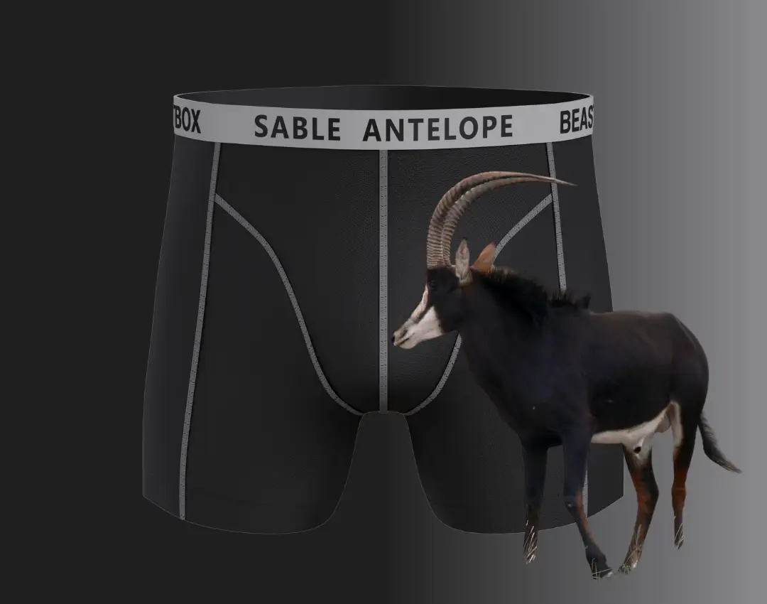 Sable antelope design